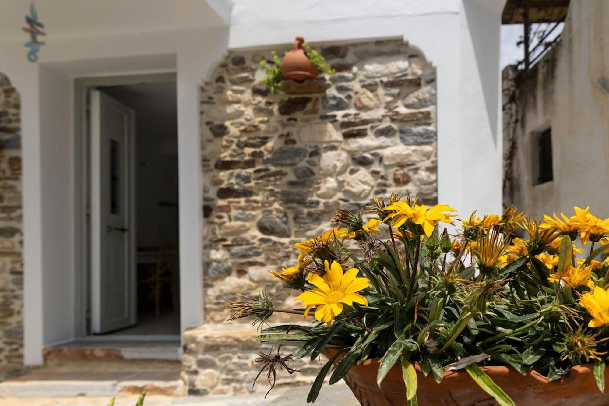 My Grandma'S Home Naxos Dhamarionas Eksteriør billede