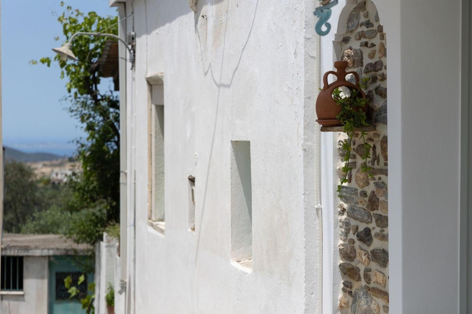 My Grandma'S Home Naxos Dhamarionas Eksteriør billede